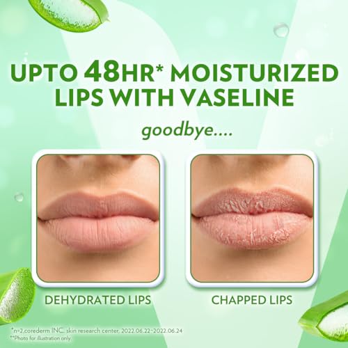 Image of Vaseline Lip Care | Aloe Vera Lip Balm Stick | Up to 48Hr moisturization | with aloe extract & petroleum jelly | made in South Korea | 4.8g
