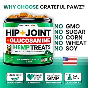 Hemp Hip and Joint Supplement for Dogs - Glucosamine for Dogs - 170 Joint Pain Relief Treats - Chondroitin, MSM, Hemp Oil - Advanced Health Supplement - Mobility Support Chews - Made in USA Hemp Hip and Joint Supplement for Dogs Glucosamine for Dogs 170 Joint Pain Relief Treats Chondroitin MSM Hemp Oil Advanced Health Supplement Mobility Support Chews Made in USA