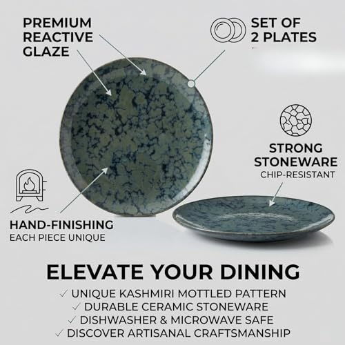 Image of Freakway Handcrafted Stoneware Ceramic Dinner Plates, Teal Reactive Glaze, 10-inch, Microwave & Dishwasher Safe, Set of 2