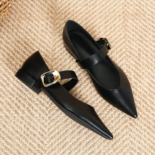 LUXINYU Women Mary Jane Flats Pu Leather Buckle Straps Pointed Toe Casual Ballet Dress Shoes3