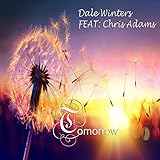  Tomorrow Is Another Day (Lapsteel Remix)