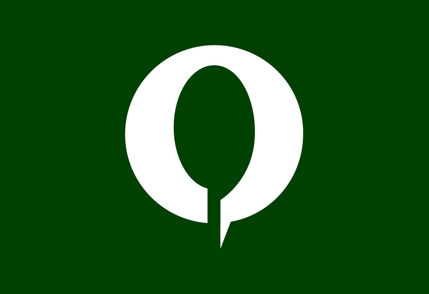 Drapeau Large Awara Fukui 1984-2004 anti-déchirure pour extérieur