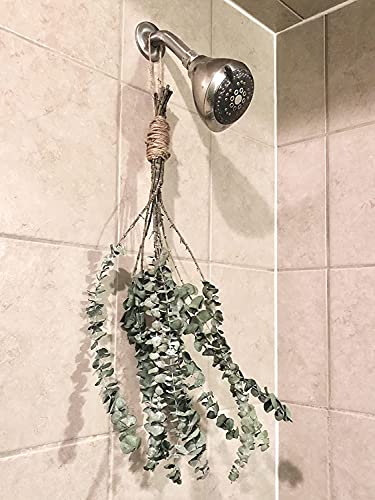 Comtelek 10-Piece Eucalyptus Dried Plant, 45cm Natural Dried Flowers Bouquet with Real Eucalyptus Leaves for Wedding Spring - Image 2