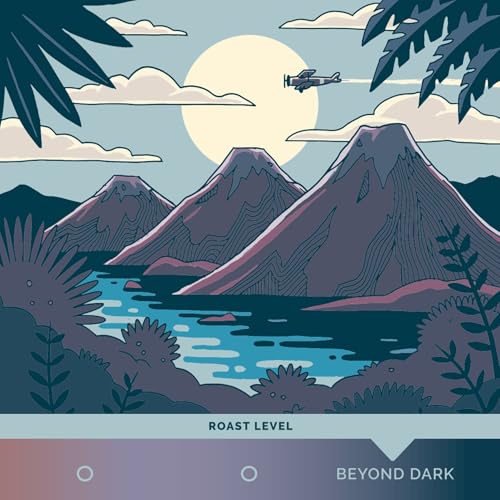 Stone Creek Coffee Dark Roast Whole Bean Coffee – 12 Ounce (Pack of 1) – Smooth Fresh Roasted Coffee Beans with Dark Chocolate Tasting Notes, 3 Volcanoes Dark Guatemala