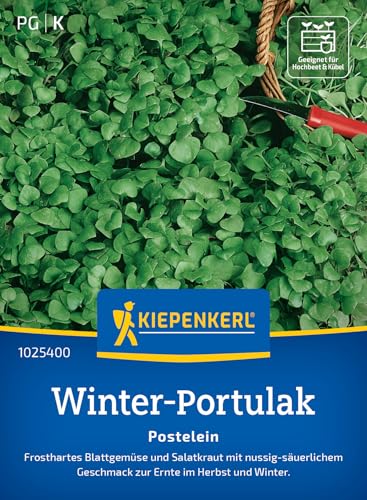 Kiepenkerl Portulaksamen Postelein 1025400 - Frostharte Winterportulak-Samen für kreative Gerichte, nussig-säuerlicher Geschmack, Gemüsesamen für 15-20 lfd. Meter Kiepenkerl Portulaksamen Postelein 1025400 - Frostharte Winterportulak-Samen für kreative Gerichte, nussig-säuerlicher Geschmack, Gemüsesamen für 15-20 lfd. Meter