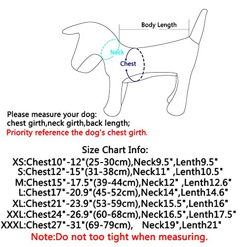 JoyDaog Warmes Fleece Hund Hoodie im Winter, kleine Hundejacke Hundemäntel mit Kapuze (Blau M)