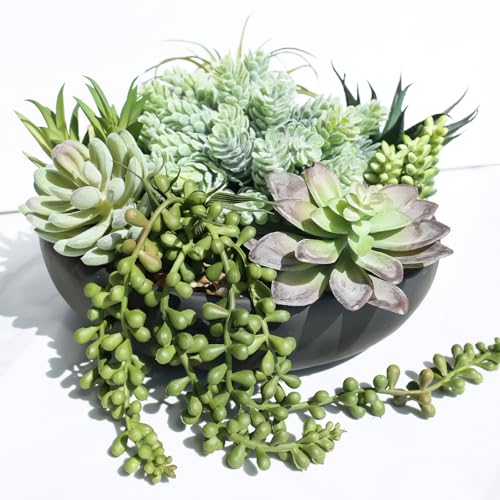 Winlyn 9' Artificial Succulent Arrangement Succulent Plants in Black Round Planter Faux Potted Succulents for Home Office Bedroom Kitchen Bathroom Table Centerpiece Windowsill Shelf Mantel Decor