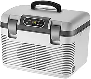 XIAOLIN Ciepłe I Zimne Uniwersalne 19 Literackie Pudełko Przenośne Termoelektryczne Chłodnica Elektryczna Do Napojów, Piwa, Wina, Owoców Morza, Owoców, Domu I Podróży