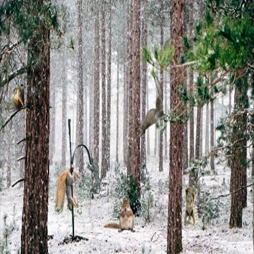 『A Hint of Random』のカバーアート