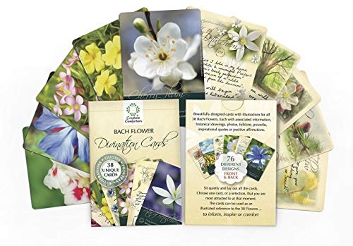 Bach-Flower-Divination-Cards-pack-free-pen-38-Beautiful-illustrations-with-Proverbs-and-Positive-Affirmations-Cards--1-Jan-2012