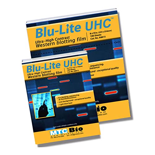 Metal Base Mold, 37 x 24 x 5 mm 12/cs