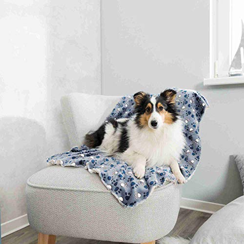 Trixie Kenny Kuscheldecke, Plüsch, 75 × 50 cm, Blau