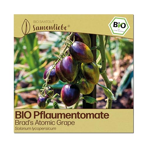 Samenliebe BIO Tomaten Samen | Pflaumentomate Brads Atomic Grape - süß & mehrfarbig - samenfestes BIO Saatgut