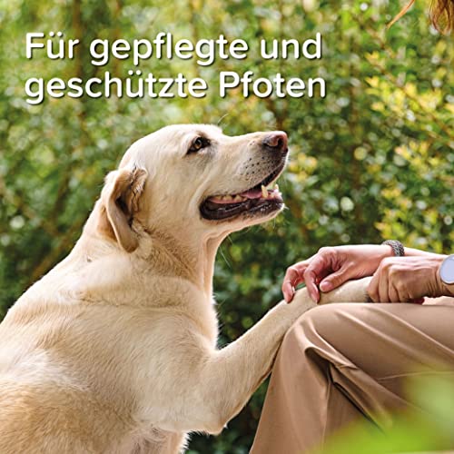 beaphar - Pfoten-Pflege Spray Für Hunde - Schützt Vor EIS, Schnee, Streusalz - Mit Propolis, Glycerin, Teebaumöl - Sanfte Und Geschmeidige Pfoten - Erhöht Die Widerstandsfähigkeit Der Pfoten - 150 ml