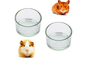 Niteangel Water Bowl: Crystal Clear Hydration for Your Small Pet