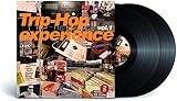 Trip Hop Experience Vol 1 / Various