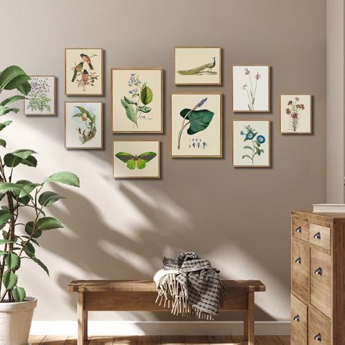 crmotu Framed Wall Art, Botanical Wall Art, Nature Canvas Prints, Leaf Minimalist Vintage Paintings, Still Life Plant Pictures for Living Room Bedroom Bathroom Kithcen Farmhouse 12x16 inch
