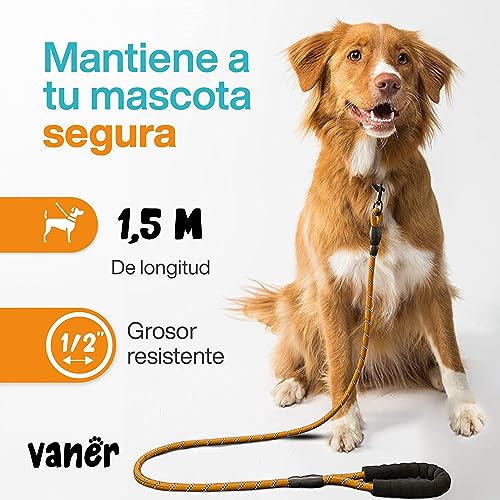 Collares Y Correas, Sports Imagen adicional