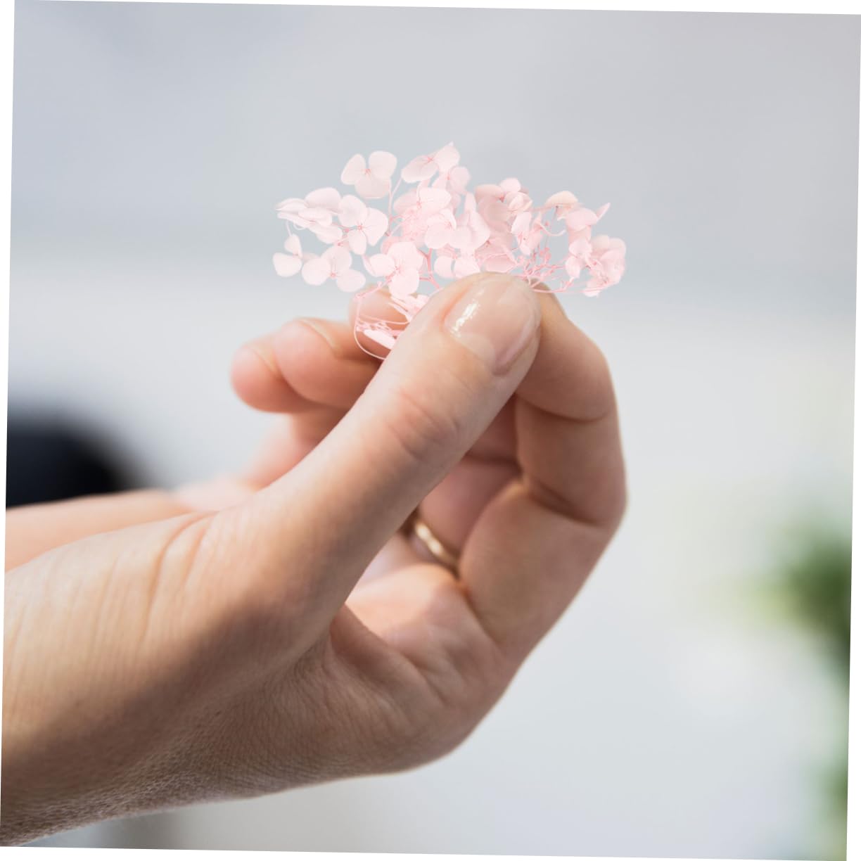 Echte Hortensienblätter Blütenblätter, 1 Packung Künstliche Hortensien Köpfe für DIY Harz Handwerk, Nagelkunst, Hochzeit Tischdeko und Kerzenherstellung, Rosa Hydrangea Blüten für Epoxidharz Deko
