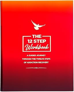 The 12 Step Workbook: A Guided Journey Through The Twelve Steps of Addiction Recovery. Sobriety and recovery gifts for men and women in any fellowship: alcoholics anonymous, narcotics anonymous & more