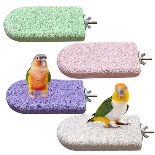 Image of 4PCS Bird Beak Grinding Stone,Parrot Perch Stands,Parakeets Platform Chewing Toys Calcium Pumice Lava Foot Claws Trimmer Climbing Ledge for Cockatiel Budgie Conure Lovebird(L,Multi-Color)