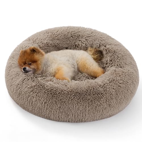 Bedsure Cama Gato Antiestres Invierno - Cama Perro Pequeño con Felpa Suave, Cojin Mascota de Pelo Relajante y Lavable,Camello,60x60CM
