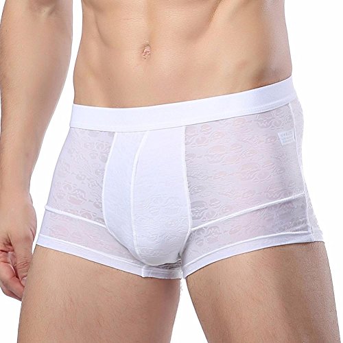Oyedens Boxer Homme Transparent Mode Homme Boxer Caleçons Shorts Respirant Dentelle Creuse Mince sous-vêtements Sexy Mémoires Culottes Slips de Poche Shorts Boxer (Blanc, XXL)