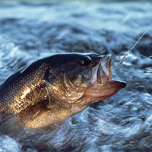 300 Pcs Angelhaken Set Kohlenstoffstahl Angelhaken 10 Größen Angelhaken mit Widerhaken Fisch-Haken Angelzubehör Set mit… – Bild 7