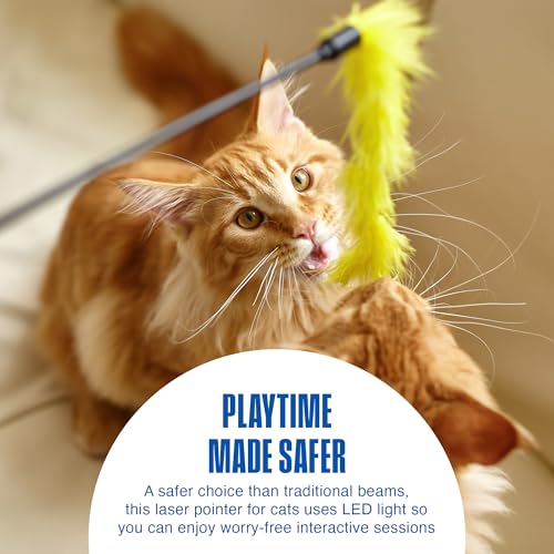 Image of Penn-Plax LED Mouse Projection Toy for Cats - Interactive Cat Toy with Moving Mouse LED Projection for Indoor Chase Play, Exercise, Activity, Mental Stimulation & Everyday Fun - 0.5 x 4.5 x 4 Inches