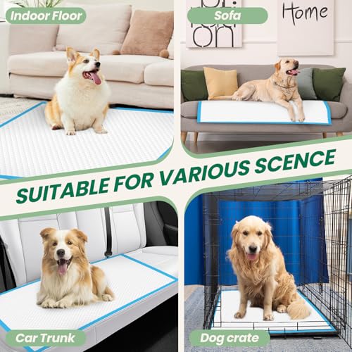 Image of 200 Count Large Dog & Cat Puppy Pee Pads - 28 inchx30 inch Absorbent Potty Training Pads | Leakproof Quick-Dry Disposable Pet Pads for Puppies, Dogs & Cats | Indoor, Outdoor, Litter Box, Housebreaking Use