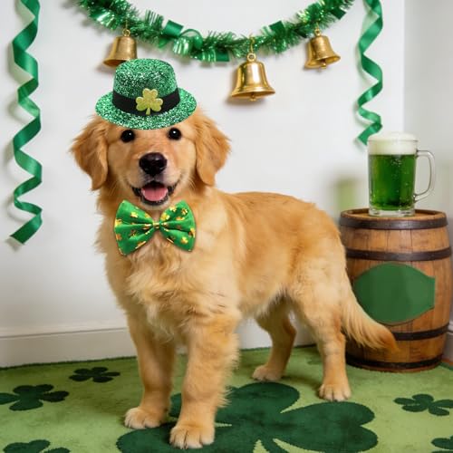 Disfraz Leprechaun de San Patricio para Perros y Gatos miniatura 5