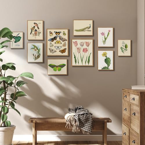 crmotu Botanical Framed Wall Art, Cactus Floral Canvas Prints, Yellow Flower Nature Wall Decor, Tropical Plant Watercolor Paintings, Rustic Farmhouse Kitchen Home Office Desktop Decor, 9x11inch