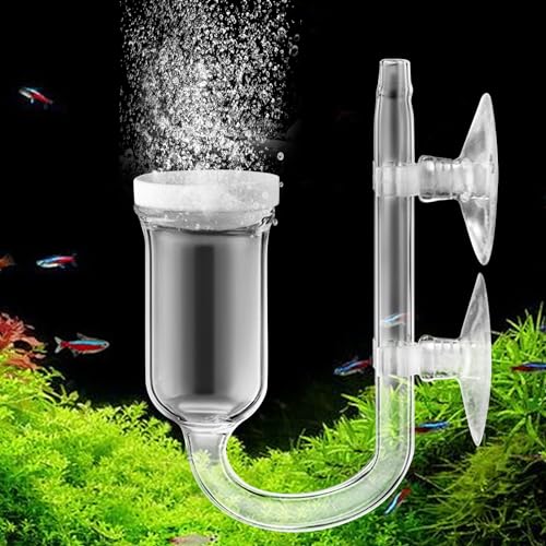 ✅【Materiale di alta qualità】Il diffusore di CO2 è realizzato in vetro ad alto contenuto di borosilicato, che ha un'alta trasparenza, un alto valore decorativo, non è tossico e resistente alla corrosione, ed è adatto per l'uso in serbatoi d'acqua dolce e marina.