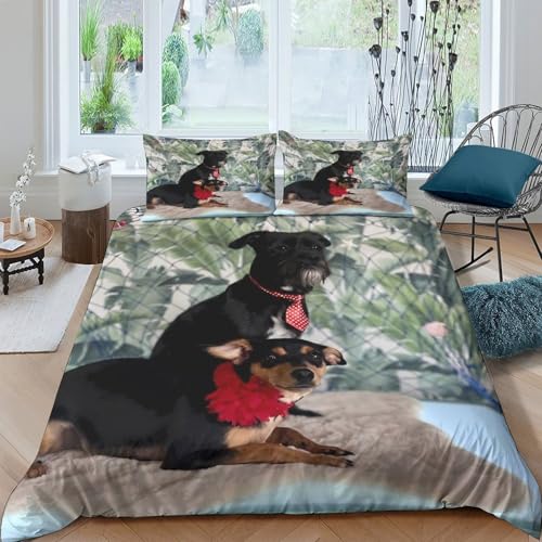 Housse de couette chien microfibre ultra douce de qualité supérieure - 4