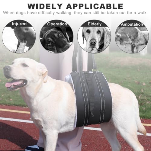 MHwan Tragehilfe Hund, Unterstütztes Gehen, Verbessertes Design der tragbaren Schnalle auf der Rückseite, Hochwertiges Wasserdichtes und Schmutzabweisendes PU-Leder und Flauschig Weiches Material (M)