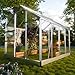 GARMIO® Gewächshaus Neapel 250x190cm für den Garten, Alu Frühbeet inklusive Fundament, 2 Dachfenster Treibhaus Aufzucht Pflanzenhaus Tomatenhaus 4,75m² UV-Schutz