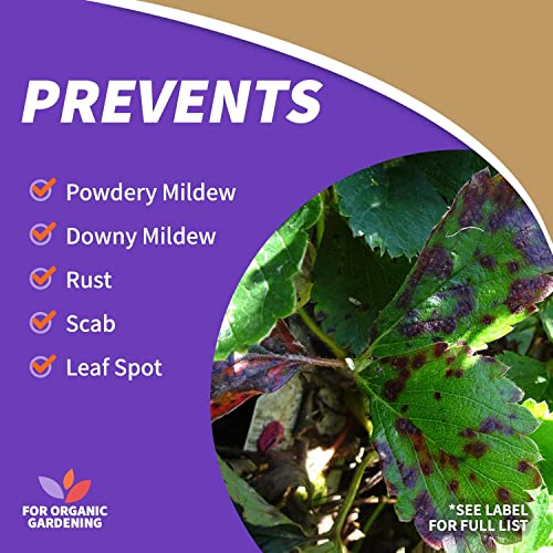 image for Bonide Captain Jack's Neem Oil, 16 oz Ready-to-Use Spray, Multi-Purpos