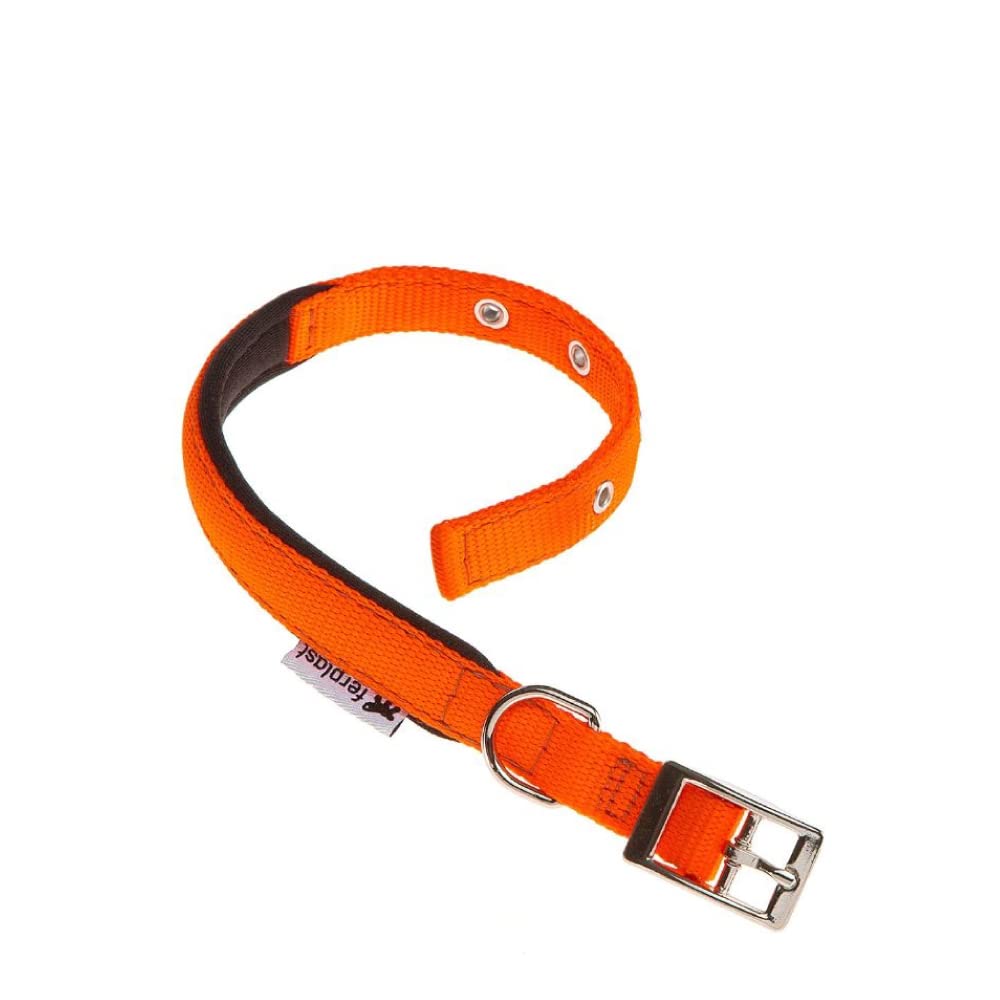 Ferplast Small Dog Collar Adjustable Padded Nylon Dog Collar Metal Buckle, Neck Size 23-31 cm, Orange