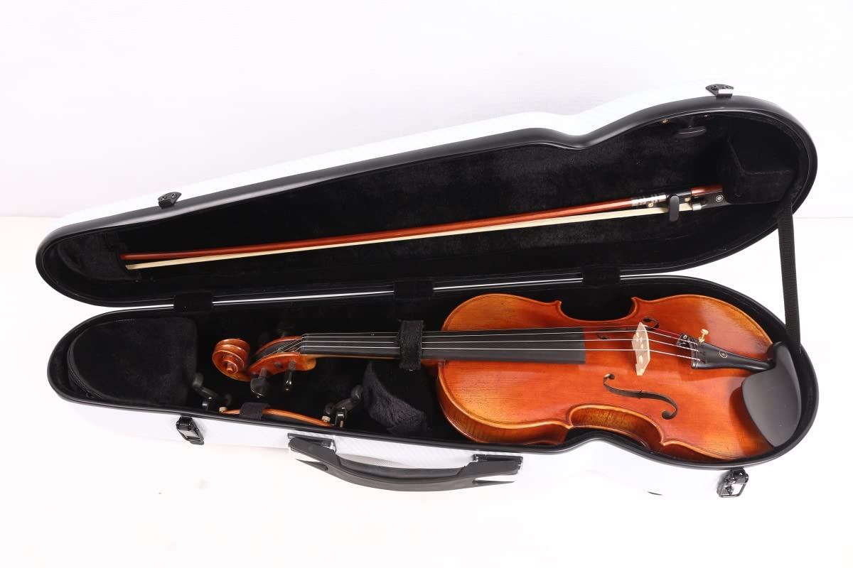 WUQIMUSC - Estuche para violín de fibra de vidrio duradero de 4/4 de tamaño completo, con forma triangular, ligero, fuerte, con higrómetro integrado