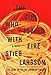 The Girl Who Played with Fire (Millennium)