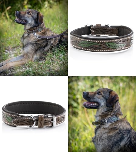 Jack & Russell Unikat Hundehalsband aus Leder, Hand-geschnitzt & gepolstert– Halsband aus Büffelleder, Hunde Lederhalsband braun/dunkelgrün Hailey (M (31,5-42,0cm))