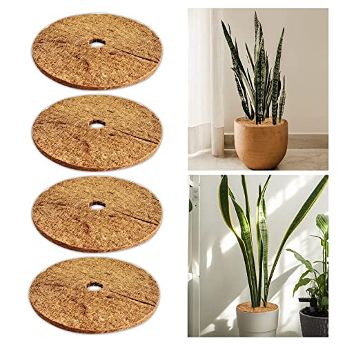 4 Discos de mantillo de Coco, Disco de Fibra de Coco, Diámetro de 40 cm, Cubierta de Plantas de Coco, Protección de Invierno, Protección de Plantas de Invierno, Protección contra el frío para Plantas Cover