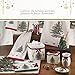 Spode Christmas Tree Ribbons Square Platter with Bow Handles - 11-Inch Holiday Serving Plate for Desserts, Appetizers, & Treats - Festive Christmas Dinnerware with Gold Accents - Dishwasher Safe