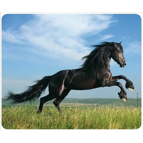 BLACK BEAUTY - black stallion: Animal mousepad (No. 82 ) - quality mousepad made of extremely tear-resistant special rubber with a strongly adherent underside for optimal hold Cover
