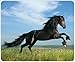 Produktbild "SCHWARZES PFERD - BLACK BEAUTY" (MOTIV 82 - PFERDE): Tier-Mousepad/Mauspad - Qualitäts-Mousepad aus extrem reissfestem Spezialkautschuk mit stark haftender Unterseite für optimalen Halt
