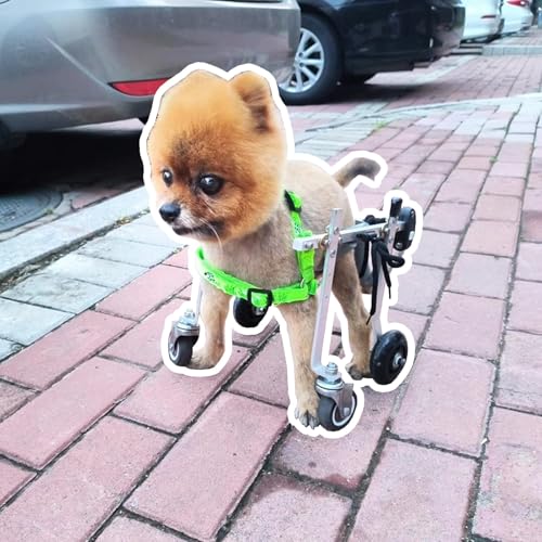 調整可能なペットカート車椅子、 犬用車椅子 調節可能 アルミ製 4輪 移動補助具 小型犬 中型犬 大型犬 猫用 複数サイズ(XS)