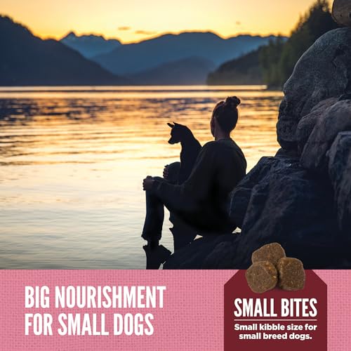 Image of ORIJEN Amazing Grains WHOLEPREY Dry Dog Food Small Breed 10lb Bag | WHOLEPREY Ingredients, Made in the USA, Includes Probiotics, Omega-3 Fatty Acids, Skin & Coat, Digestive Health