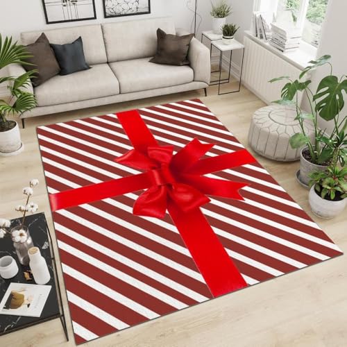 Tapis de salon lavable résolvant les sols froids et glissants - 4