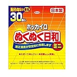興和新薬 ホッカイロ ぬくぬく日和 貼らない ミニ 30個