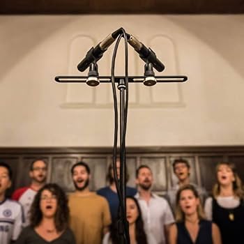 Amazon | sE Electronics sE8 omni Pair コンデンサーマイク Amazon | sE Electronics sE8 omni Pair コンデンサーマイク